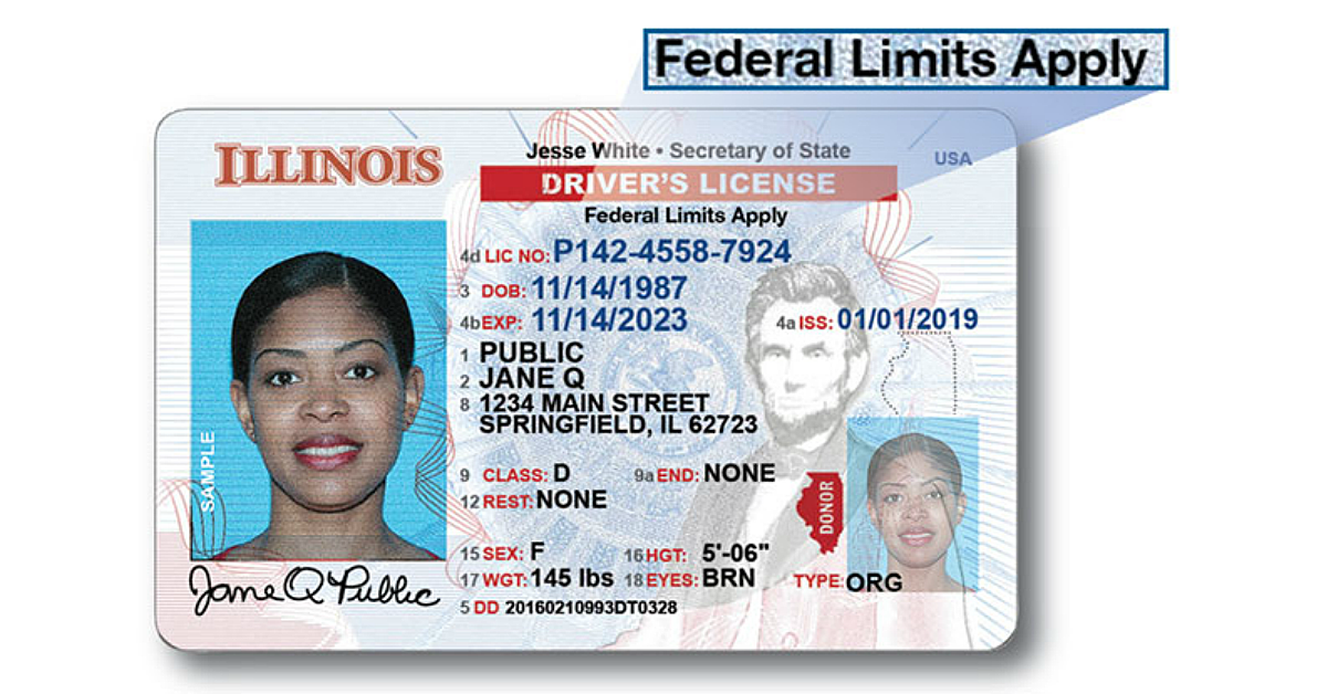 Il dmv drivers license status